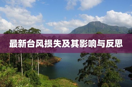 最新臺風損失及其影響與反思