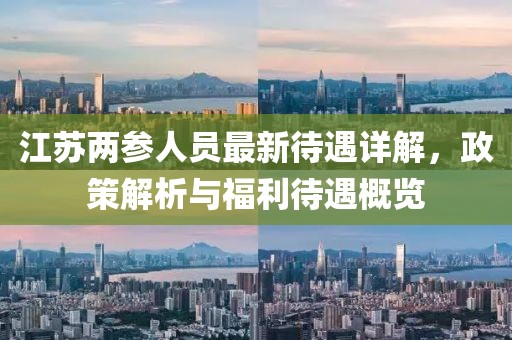 江蘇兩參人員最新待遇詳解，政策解析與福利待遇概覽