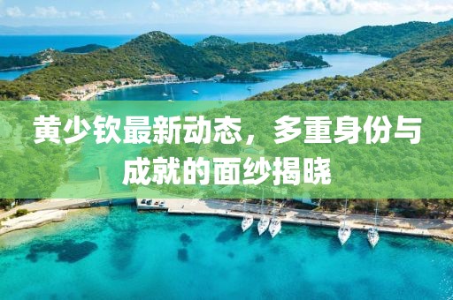 黃少欽最新動態(tài)，多重身份與成就的面紗揭曉