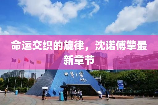 命運(yùn)交織的旋律，沈諾傅擎最新章節(jié)