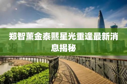 鄭智薰金泰熙星光重逢最新消息揭秘