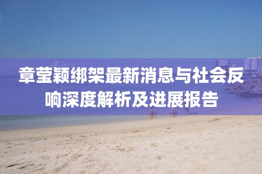 章瑩穎綁架最新消息與社會反響深度解析及進(jìn)展報(bào)告