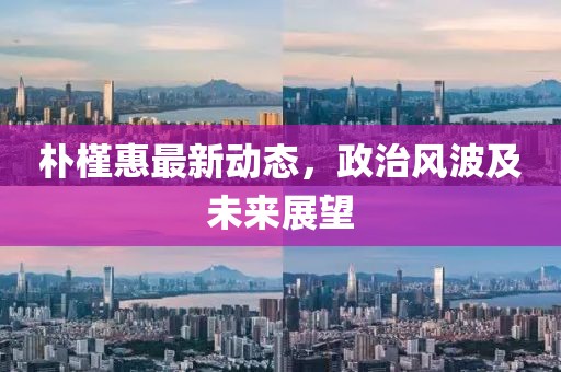 樸槿惠最新動態(tài)，政治風(fēng)波及未來展望