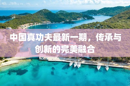 中國真功夫最新一期，傳承與創(chuàng)新的完美融合