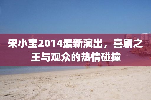 宋小寶2014最新演出，喜劇之王與觀眾的熱情碰撞