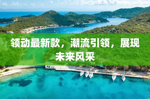 領動最新款，潮流引領，展現(xiàn)未來風采