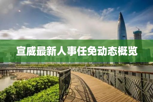 宣威最新人事任免動態(tài)概覽