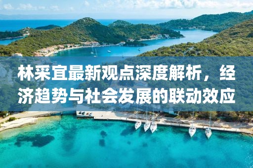 林采宜最新觀點(diǎn)深度解析，經(jīng)濟(jì)趨勢(shì)與社會(huì)發(fā)展的聯(lián)動(dòng)效應(yīng)