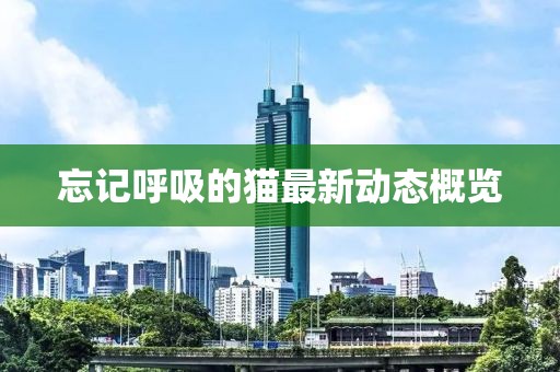 忘記呼吸的貓最新動態(tài)概覽