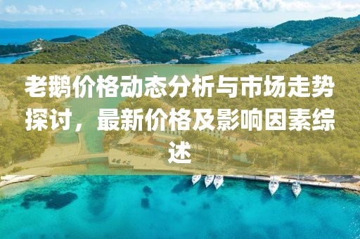 老鵝價格動態(tài)分析與市場走勢探討，最新價格及影響因素綜述