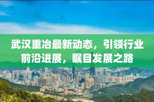 武漢重冶最新動態(tài)，引領(lǐng)行業(yè)前沿進(jìn)展，矚目發(fā)展之路