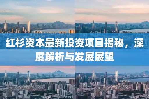 紅杉資本最新投資項目揭秘，深度解析與發(fā)展展望