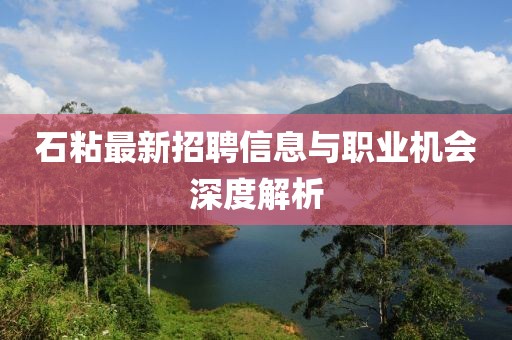 石粘最新招聘信息與職業(yè)機(jī)會深度解析