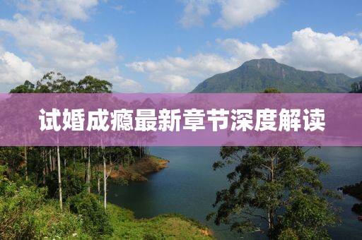 試婚成癮最新章節(jié)深度解讀