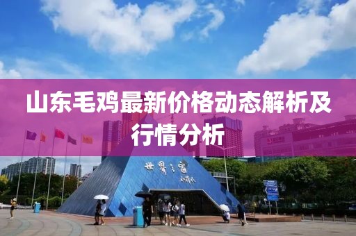 山東毛雞最新價(jià)格動(dòng)態(tài)解析及行情分析
