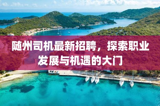 隨州司機(jī)最新招聘，探索職業(yè)發(fā)展與機(jī)遇的大門(mén)