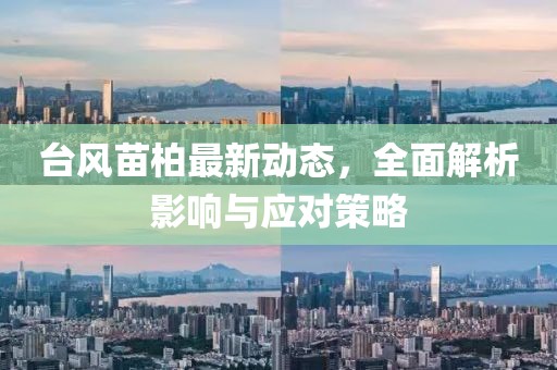 臺風苗柏最新動態(tài)，全面解析影響與應對策略