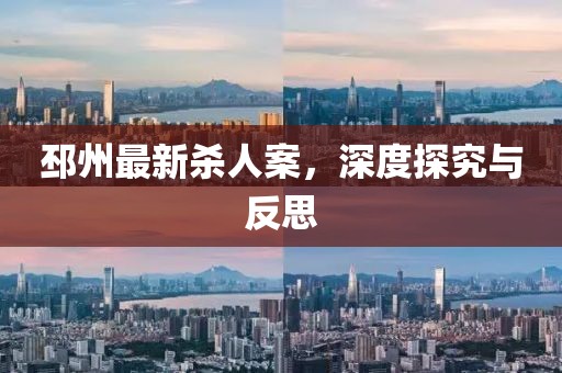 邳州最新殺人案，深度探究與反思