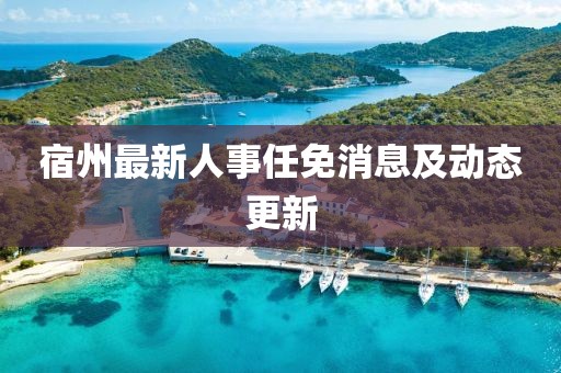 宿州最新人事任免消息及動態(tài)更新