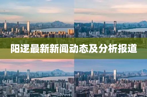 陽(yáng)邏最新新聞動(dòng)態(tài)及分析報(bào)道