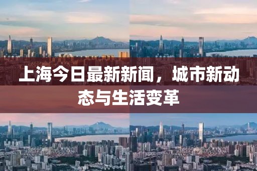 上海今日最新新聞，城市新動(dòng)態(tài)與生活變革