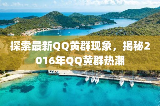 探索最新QQ黃群現(xiàn)象，揭秘2016年QQ黃群熱潮
