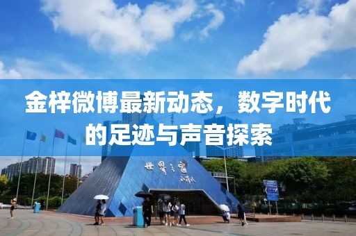 金梓微博最新動態(tài)，數(shù)字時代的足跡與聲音探索