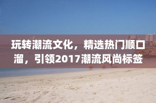 玩轉(zhuǎn)潮流文化，精選熱門順口溜，引領(lǐng)2017潮流風(fēng)尚標(biāo)簽