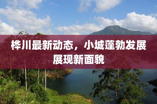 樺川最新動態(tài)，小城蓬勃發(fā)展展現(xiàn)新面貌