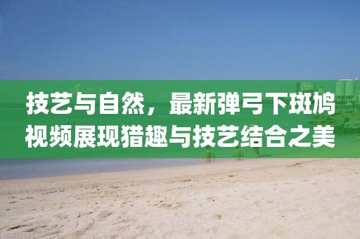 技藝與自然，最新彈弓下斑鳩視頻展現(xiàn)獵趣與技藝結(jié)合之美