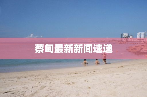 蔡甸最新新聞速遞