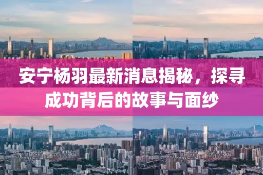 安寧楊羽最新消息揭秘，探尋成功背后的故事與面紗
