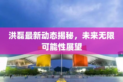 洪磊最新動態(tài)揭秘，未來無限可能性展望