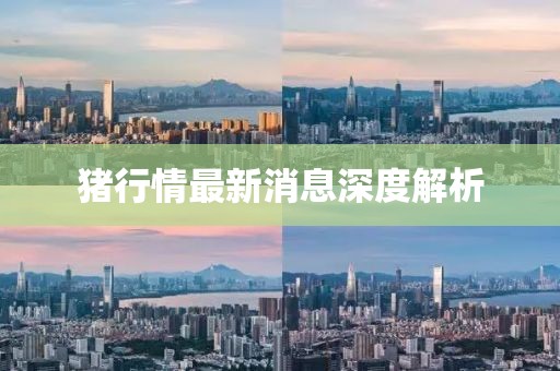 豬行情最新消息深度解析