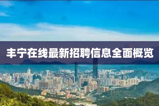 豐寧在線最新招聘信息全面概覽