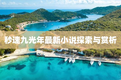 秒速九光年最新小說探索與賞析