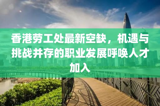香港勞工處最新空缺，機(jī)遇與挑戰(zhàn)并存的職業(yè)發(fā)展呼喚人才加入