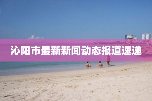 沁陽市最新新聞動態(tài)報道速遞