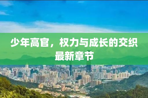 少年高官，權力與成長的交織最新章節(jié)