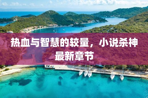 熱血與智慧的較量，小說殺神最新章節(jié)
