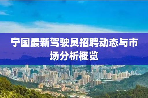 寧國(guó)最新駕駛員招聘動(dòng)態(tài)與市場(chǎng)分析概覽