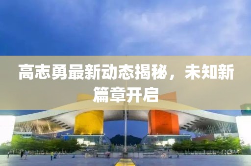 高志勇最新動態(tài)揭秘，未知新篇章開啟