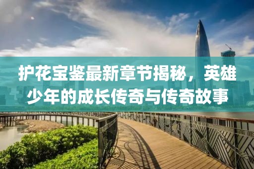 護(hù)花寶鑒最新章節(jié)揭秘，英雄少年的成長傳奇與傳奇故事