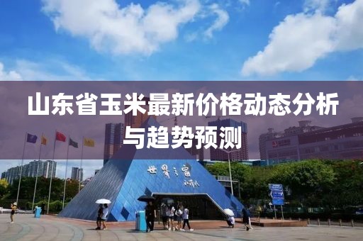 山東省玉米最新價格動態(tài)分析與趨勢預測