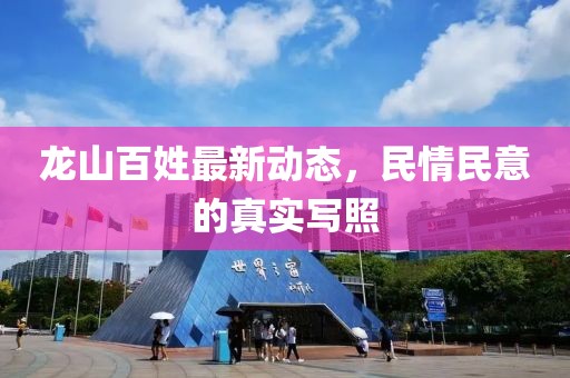 龍山百姓最新動態(tài)，民情民意的真實寫照