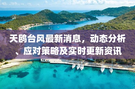 天鷗臺風(fēng)最新消息，動態(tài)分析、應(yīng)對策略及實時更新資訊