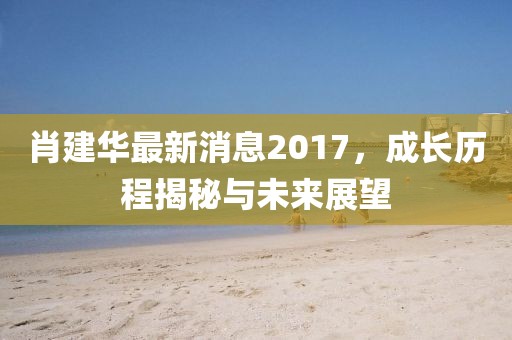 肖建華最新消息2017，成長歷程揭秘與未來展望