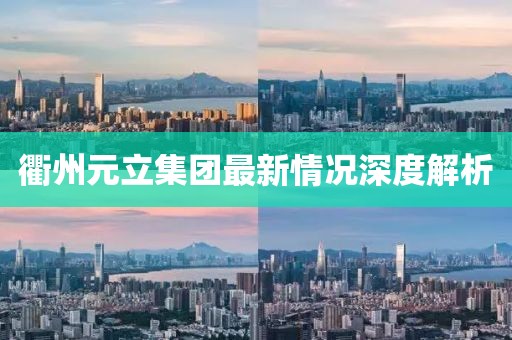 衢州元立集團最新情況深度解析