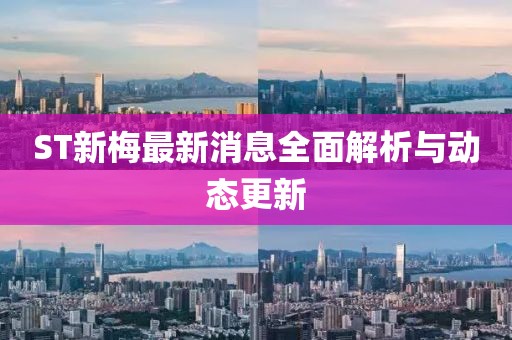 ST新梅最新消息全面解析與動(dòng)態(tài)更新