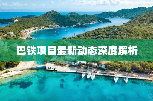 巴鐵項(xiàng)目最新動(dòng)態(tài)深度解析